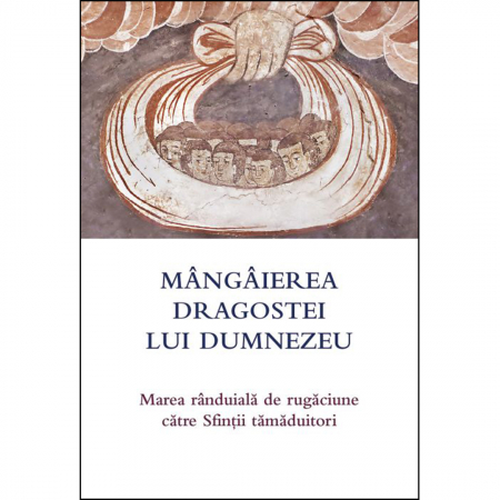 Religie / Teologie - Mângâierea dragostei lui Dumnezeu Marea rânduială de rugăciune către Sfinții tămăduitori