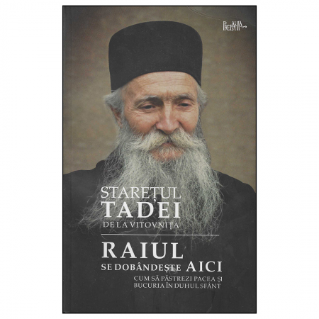 Religie / Teologie - Raiul se dobândește aici. Cum să păstrezi pacea și bucuria în Duhul Sfânt