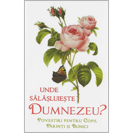 Cărți pentru copii - Unde sălăşluieşte Dumnezeu. Povestiri pentru copii, părinţi şi bunici