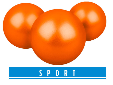 T4E Sport PAB 43 Bile paintball borcan 500 bucati Orange Mark 0.82 g cal.43 [2]