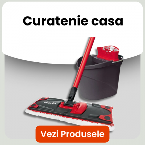 Curatenie casa