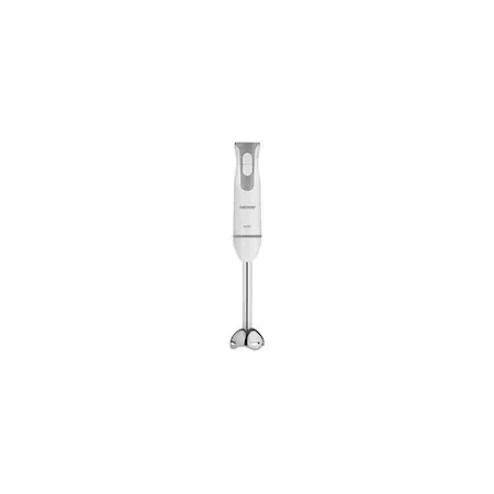 Blender_Vertical_Zelmer_ZHB4553S_800W_Ergonomic_Functie_Turbo_Accesorii_Complete.jpg [2]