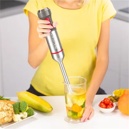 Blender-de-mana-Zelmer-ZHB4650-1400W-TURBO-4-lame-Control-viteza-gri-inox.jpg [7]