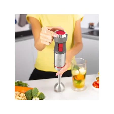 Blender-de-mana-Zelmer-ZHB4650-1400W-TURBO-4-lame-Control-viteza-gri-inox.jpg [6]