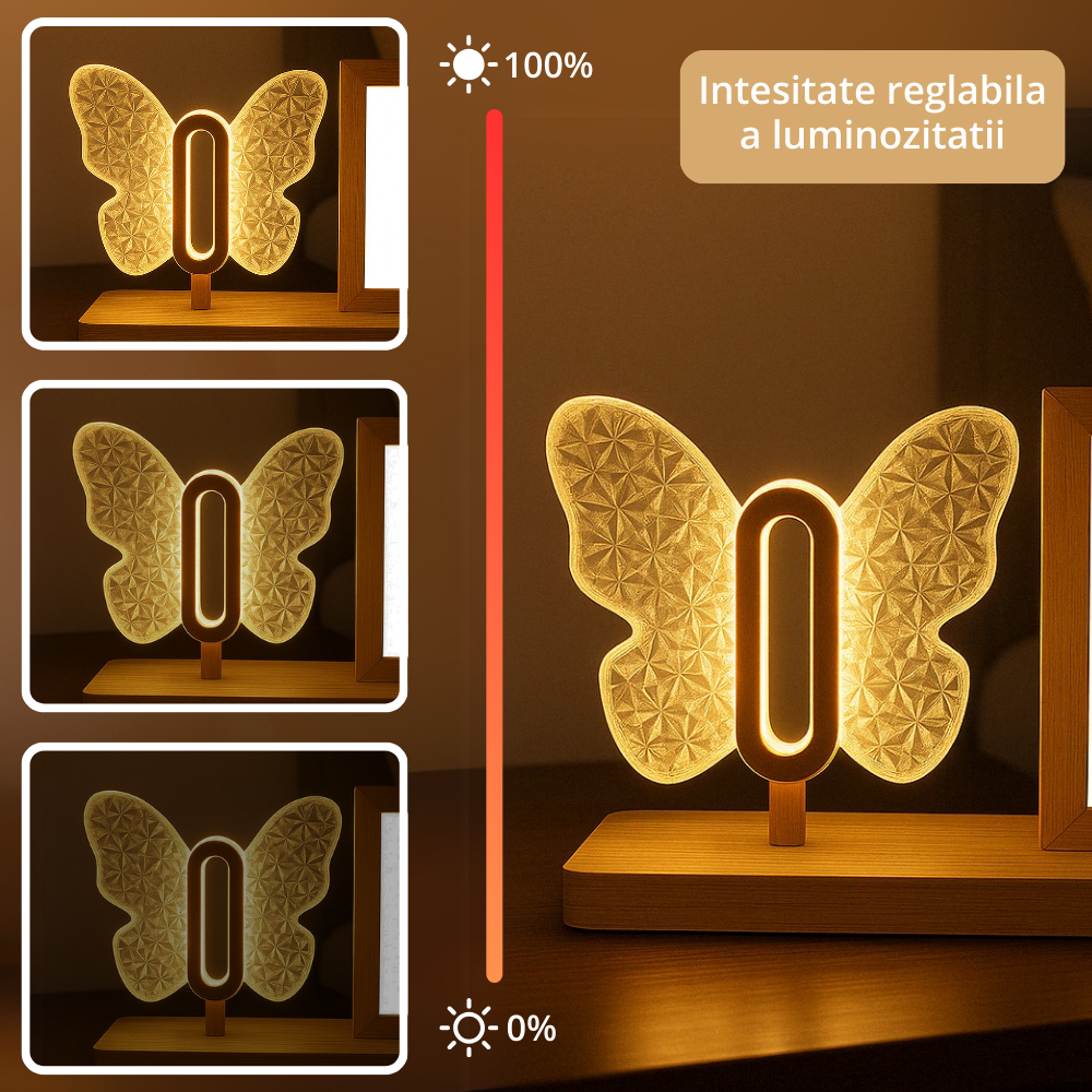 lampa-led-fluture-cu-rama-foto.jpg [2]