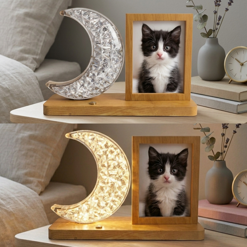 lampa-birou-luna-rama-foto.jpg [3]