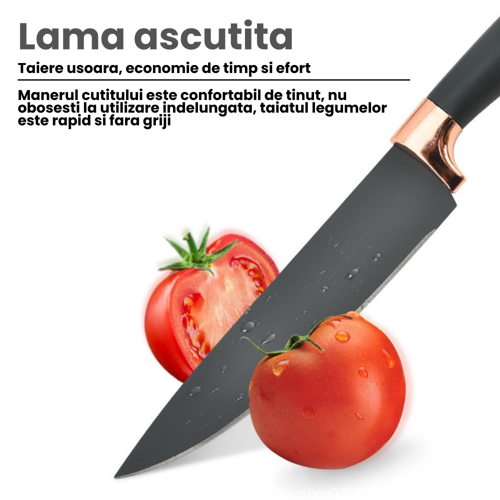 SET USTENSILE BUCATARIE 19399-74 | EAN: 8998193990746 | Cod: 19399-74#N [4]