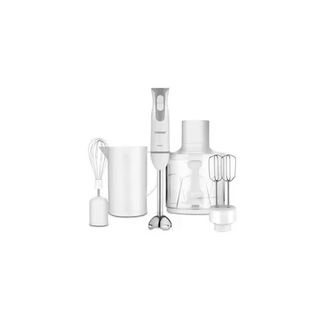 Blendere si mini tocatoare - Blender_Vertical_Zelmer_ZHB4553S_800W_Ergonomic_Functie_Turbo_Accesorii_Complete.jpg
