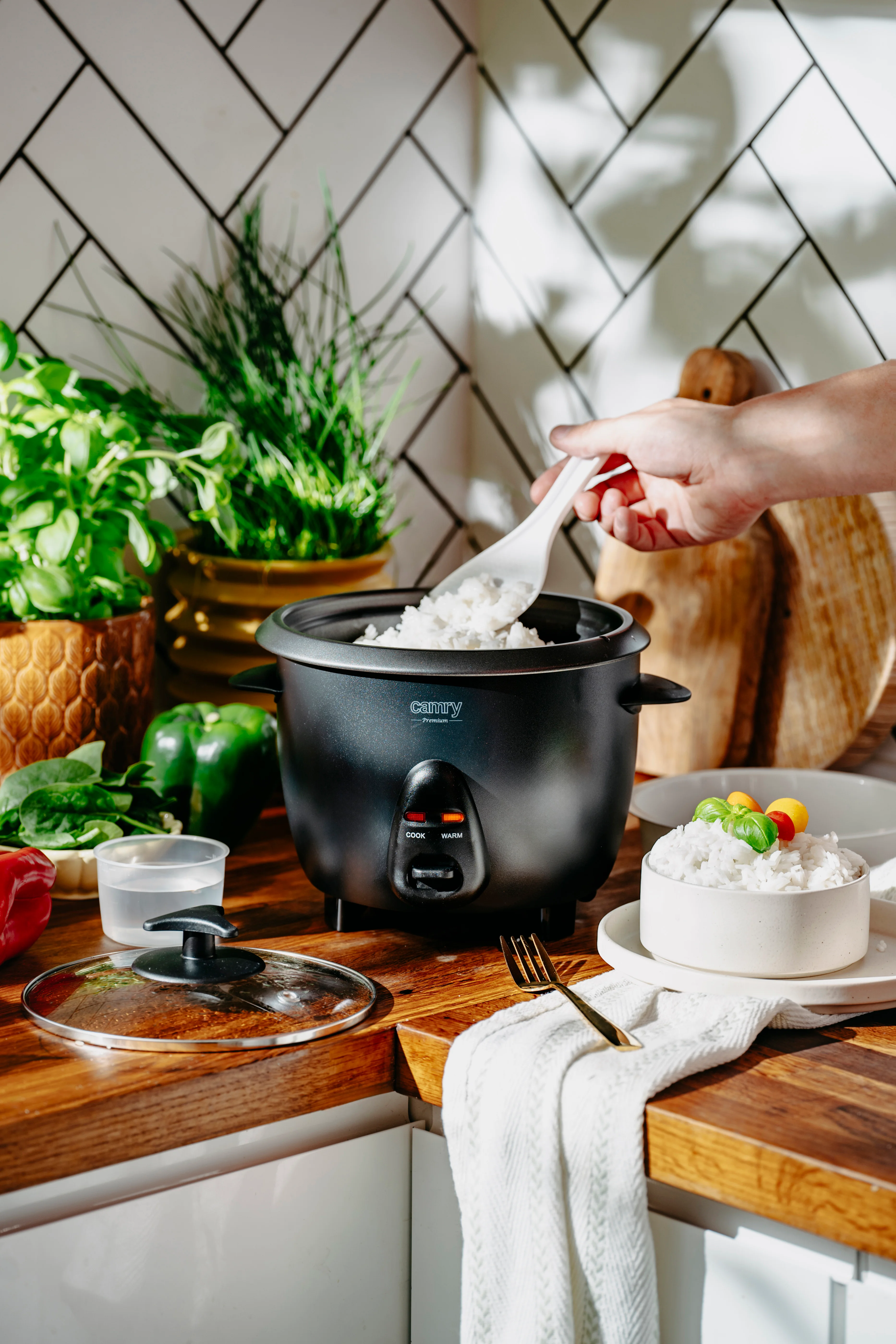 Rice Cooker Camry CR 6419, Capacitate 1 L, Putere 400 W, 2 funcții [6]