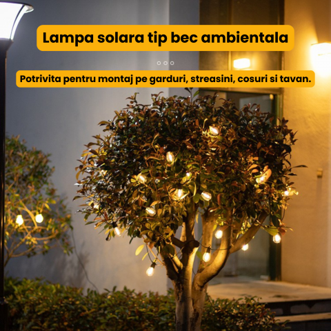 ghirlanda-solara-rgb-w-rixme-telecomanda-ip66.jpg [3]