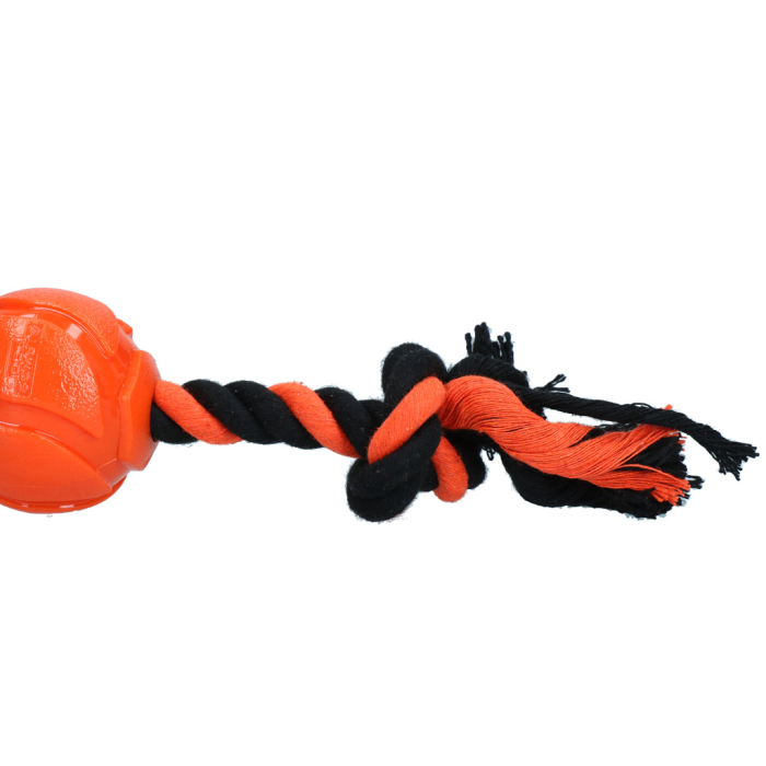 Jucarie ASTROTUG - minge cu franghie pentru caini [3]