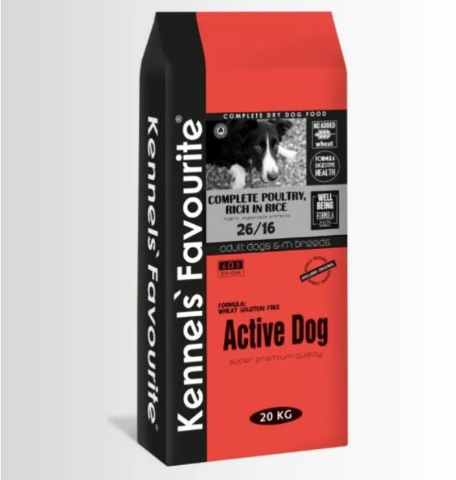 Kennels Favourite ACTIVE DOG - caini adulti  rase mici si medii [2]