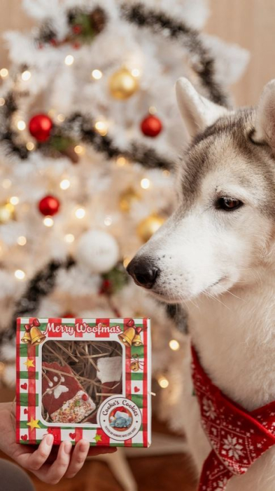 Max’s Selection Christmas Treats Box – Cutie cadou de Craciun pentru caini | Alishop [5]