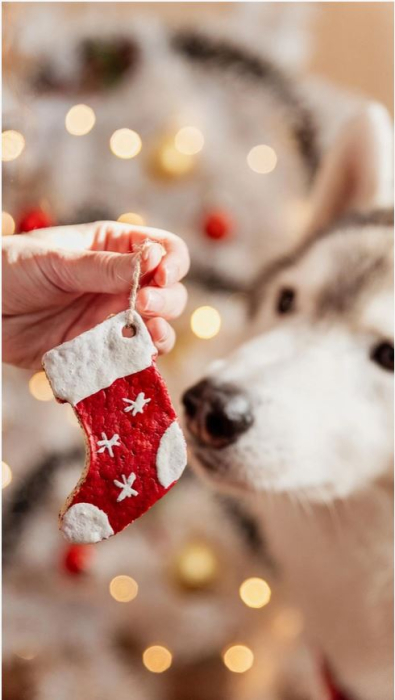 Max’s Selection Christmas Treats Box – Cutie cadou de Craciun pentru caini | Alishop [6]