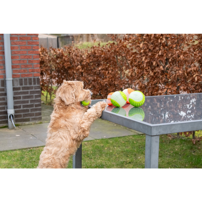 Minge pentru caini care staluceste pe intuneric [3]