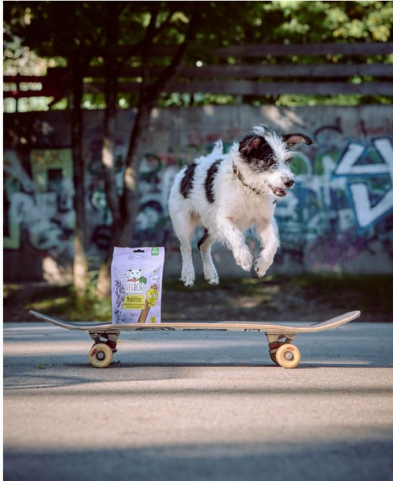 Pawsome Health Pack [7]