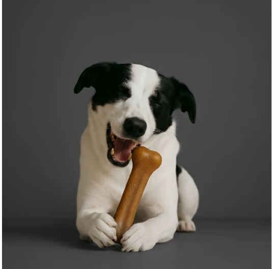 Recompensa - os de ros cu branza si unt de arahide [3]