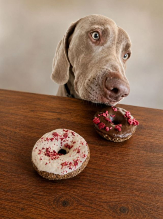 Cutie delicii festive pentru caini – Donut si praline naturale de Craciun | Alishop.ro [2]