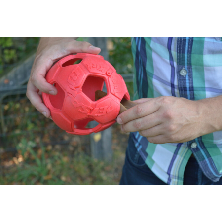 DENTAL EARS – Recompense dentare caini ( similar dental sticks) [1]