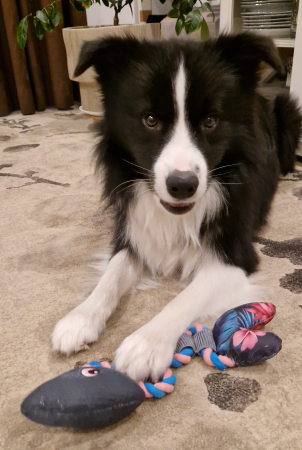 Jucarie pentru caini – forma Peste [3]