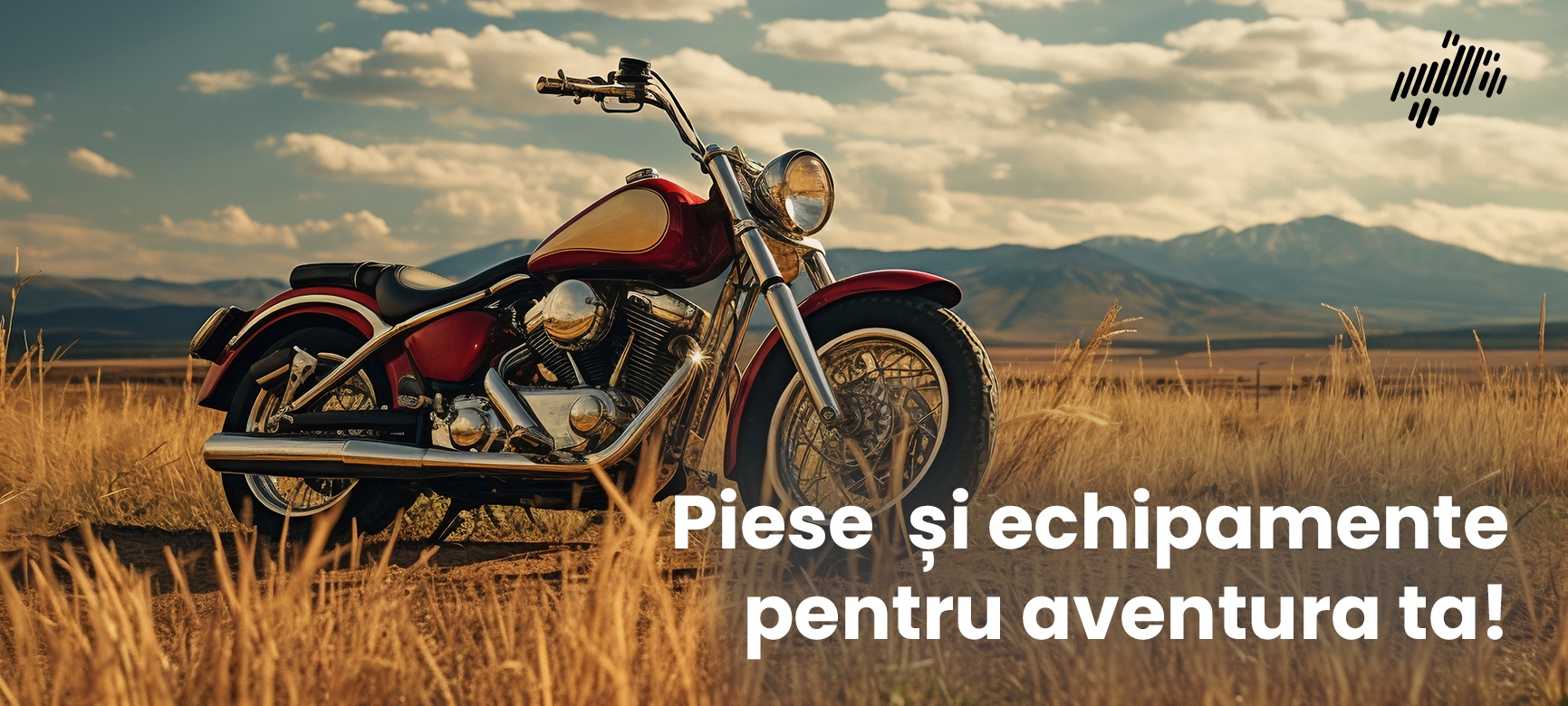 Motociclete