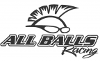 All Balls Racing