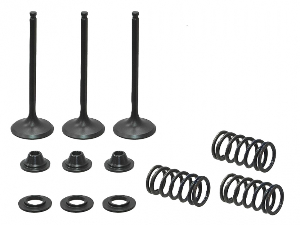 SET SUPAPE ADMISIE + ARCURI + TALERE YAMAHA YZF 450 '03-'09, WR 450 F '03-'15, YFZ 450 '03-'09, YFZ 450 R / X '09-' 20, GASGAS EC 450 F OȚEL '13-'15 [1]