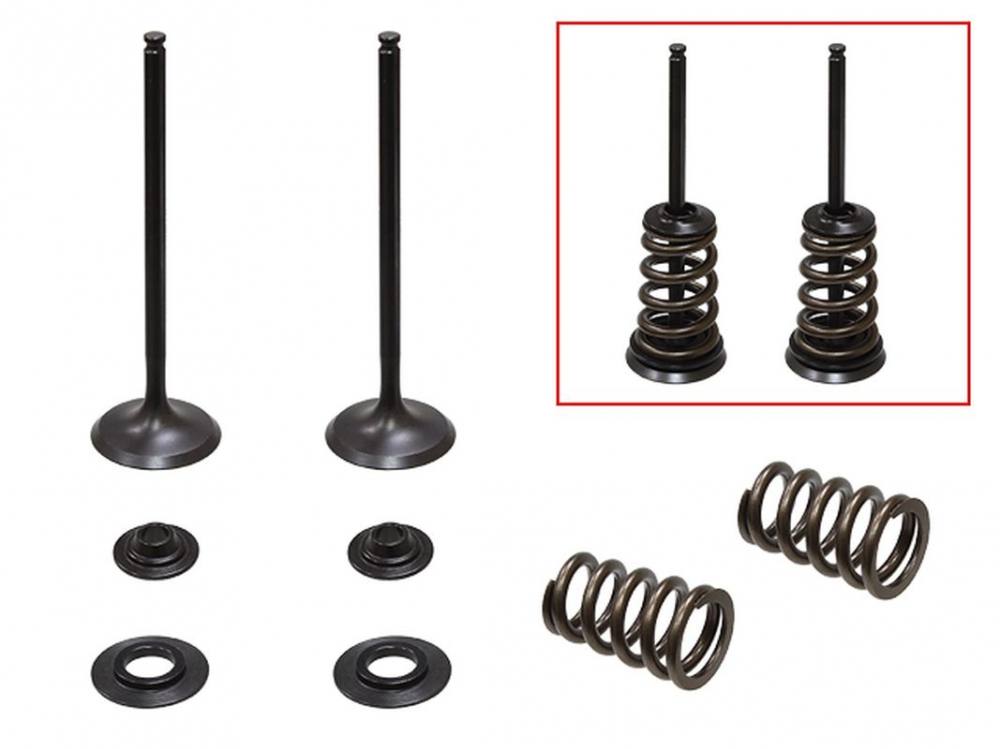 SET SUPAPE ADMISIE + ARCURI + TALERE KTM SX-F / EXC-F 250 '05-'07 [1]