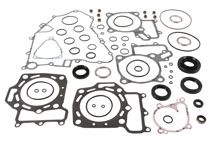 Kit complet garnituri KVF750 BRUTE FORCE 15-19, KVF750 BRUTE FORCE EPS 15-19 [1]