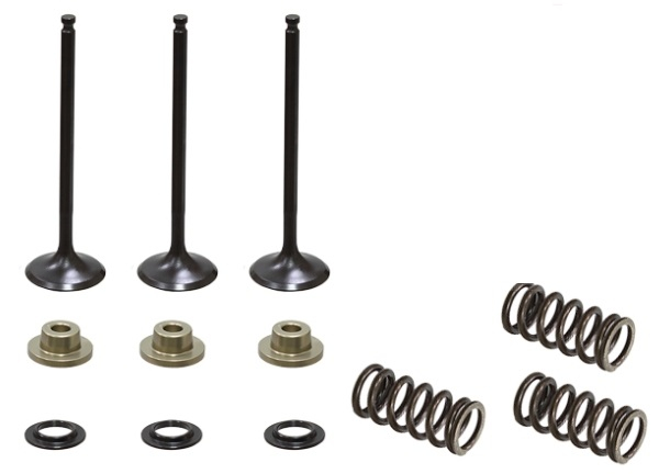 SET SUPAPE ADMISIE + ARCURI + TALERE YAMAHA WR250F 2001-2013 [1]