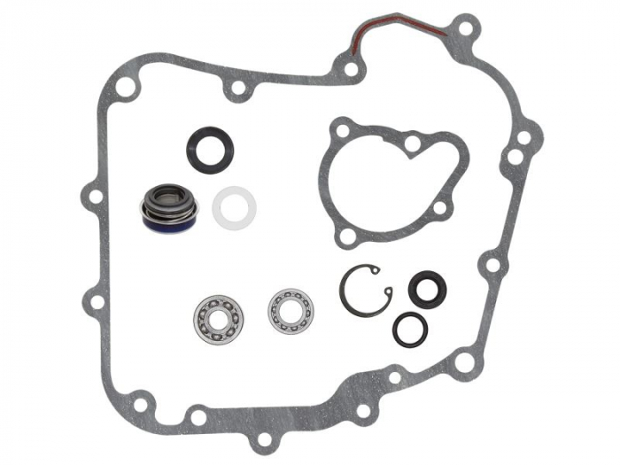 KIT POMPA APA KAWASAKI KVF 300 BRUTE FORCE '12-'23 [1]