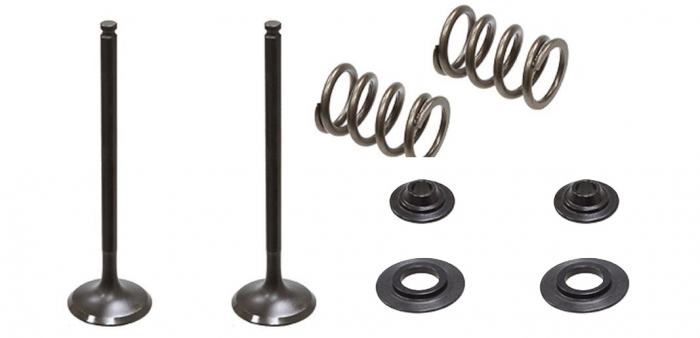 SET SUPAPE EVACUARE (SUPAPE , ARCURI SI TALERE ) HUSABERG FE 250 '13, KTM EXCF 250 '08-'14 OTEL [1]