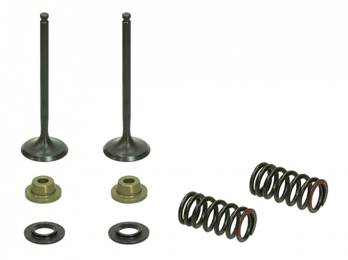 KIT SUPAPE EVACUARE + ARCURI + TALERE YAMAHA YZF 250 '01-'13, WR250F '01-'13 (WRF250) OTEL [1]