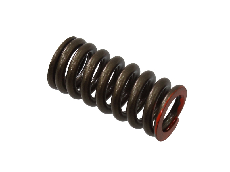 ARC SUPAPA ADMISIE / EVACUARE HONDA CRF250 2008-2009 [1]