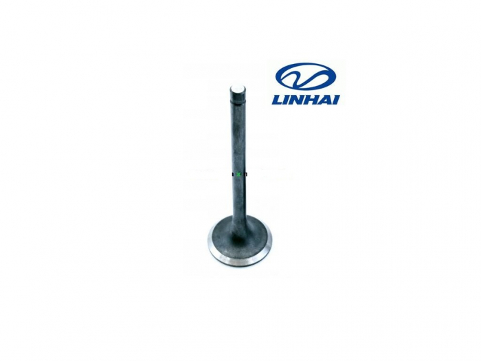 SUPAPA ADMISIE LINHAI 260/300/370 2006-2025 [3]