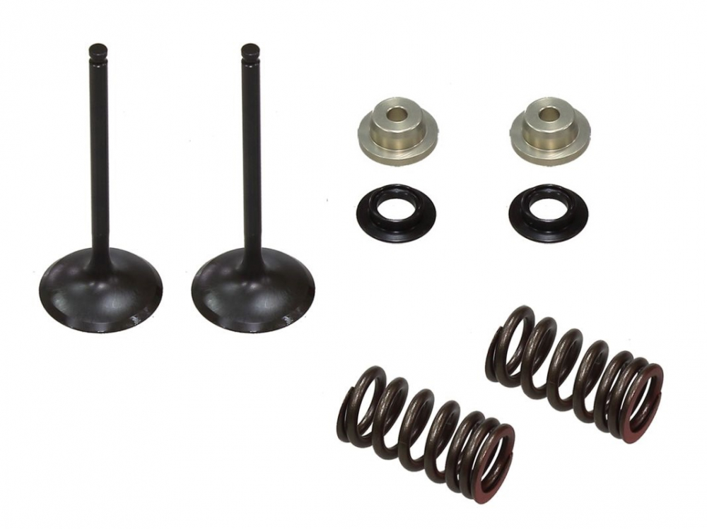 SET SUPAPE ADMISIE + ARCURI + TALERE SUZUKI RMZ 250 '07-'09 OTEL [1]
