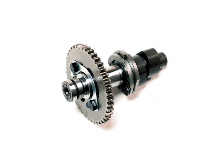 AX CAME LINHAI 500 / M550 / T-BOSS 550 / 500 PROMAX [4]