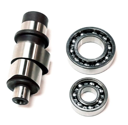 AX CAME LINHAI 300 [1]