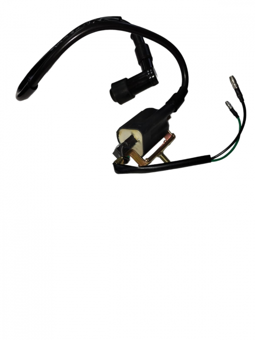 BOBINA INDUCTIE ATV 110  / 125 PRINDERE 1 SURUB [2]