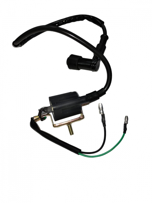 BOBINA INDUCTIE ATV 110  / 125 PRINDERE 1 SURUB [3]