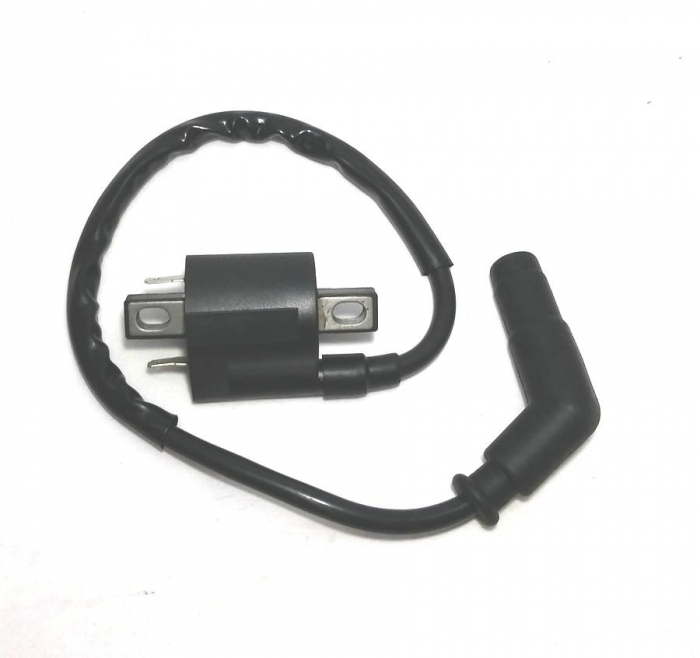 BOBINA INDUCTIE YAMAHA YFM 550 / 700 GRIZZLY /  KODIAK 700  06-19 [1]