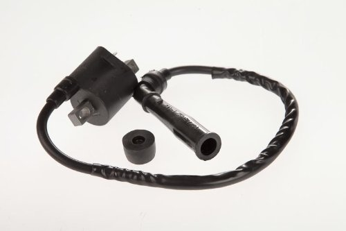 BOBINA INDUCTIE YAMAHA RAPTOR / GRiZZLY 660  / BIGBEAR 400 /  Suzuki LT-Z 400 / LT-A 500 [2]