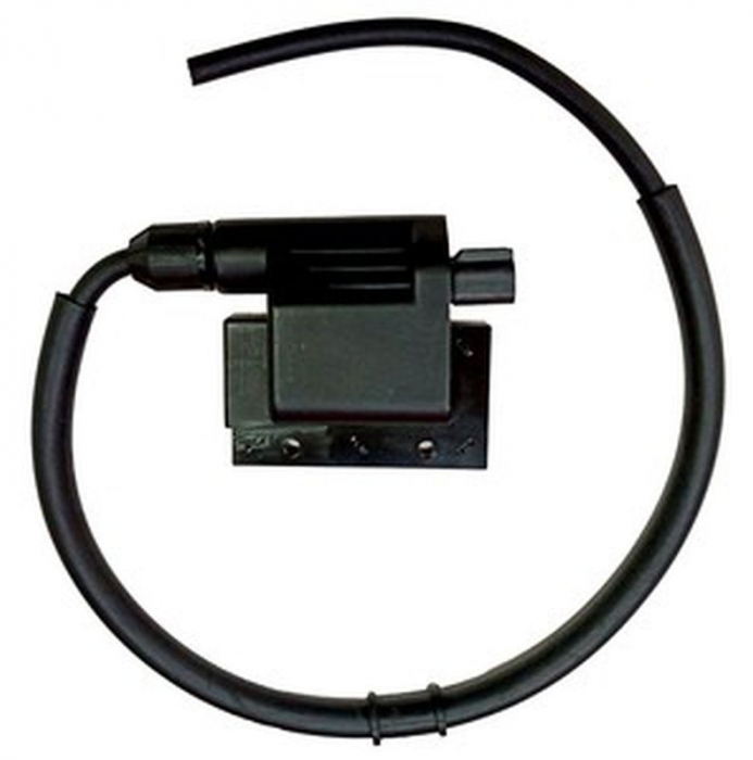 BOBINA INDUCTIE TGB TARGET / BLADE 525/550/600/1000 [2]