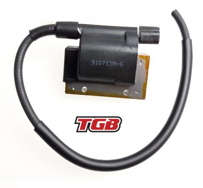 BOBINA INDUCTIE TGB TARGET / BLADE 525/550/600/1000 [3]