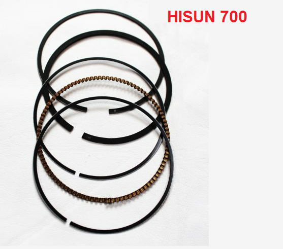 SET SEGMENTI HISUN 700 / 750 102MM [2]