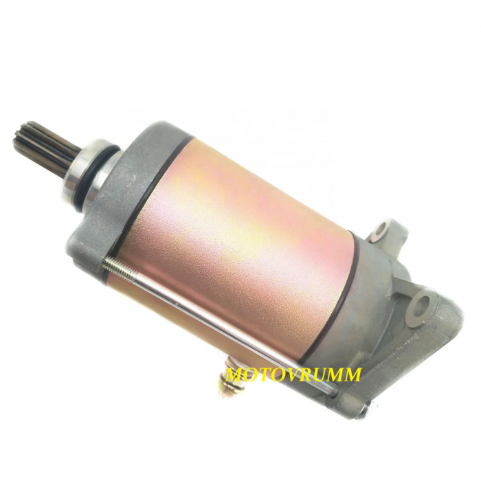 ELECTROMOTOR CF800/1000 0800-091000 [2]