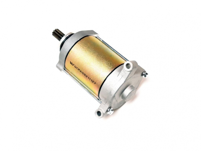 ELECTROMOTOR LINHAI 500/550 [1]