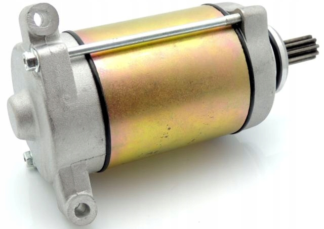 ELECTROMOTOR LINHAI 500/550 [4]