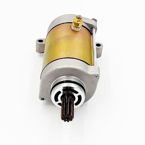 ELECTROMOTOR LINHAI 500/550 [2]
