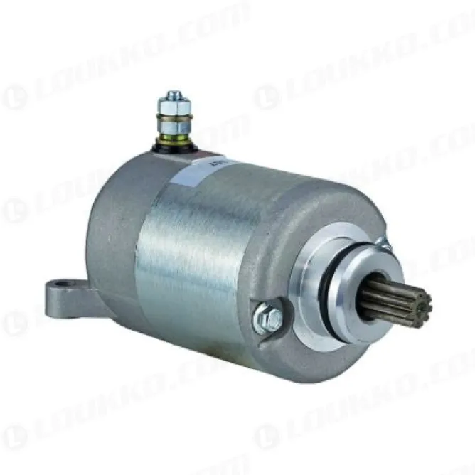 ELECTROMOTOR POLARIS 325 2014-2016 [3]